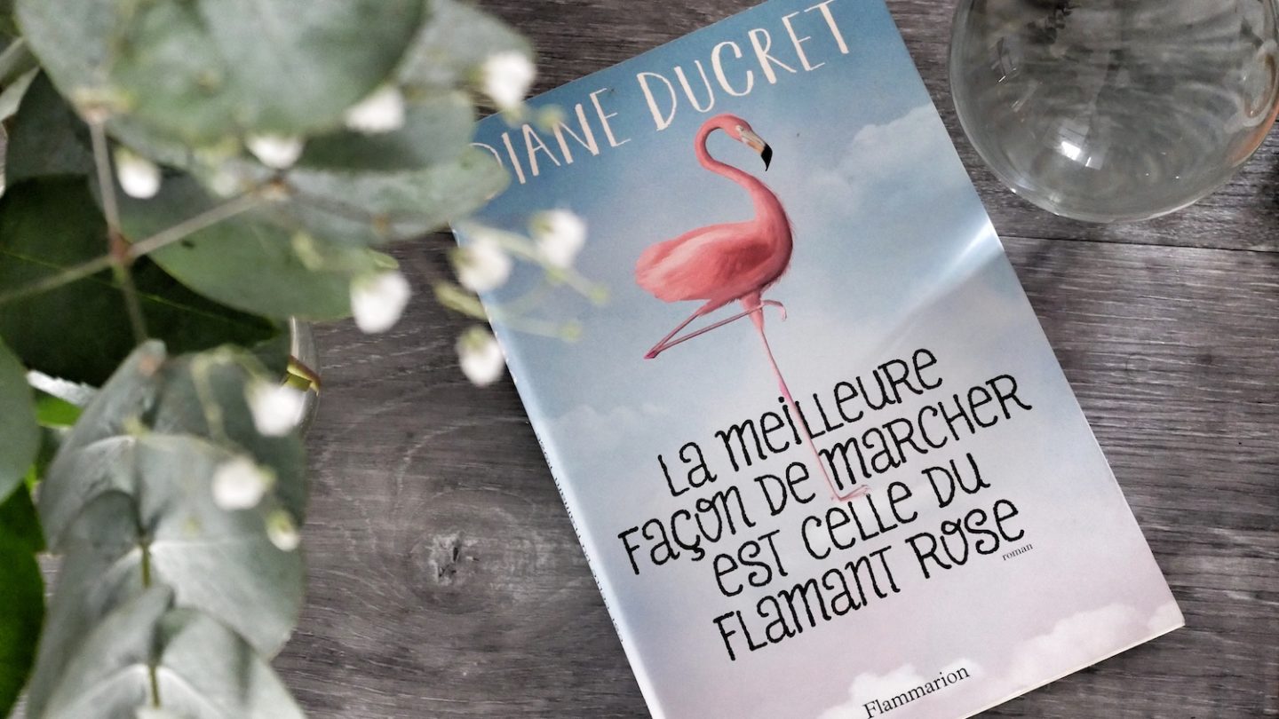 La Meilleure Fa On De Marcher Est Celle Du Flamand Rose De Diane Ducret