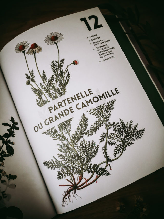 ma bible de l'herboristerie de Michel Pierre et Caroline Gayet
