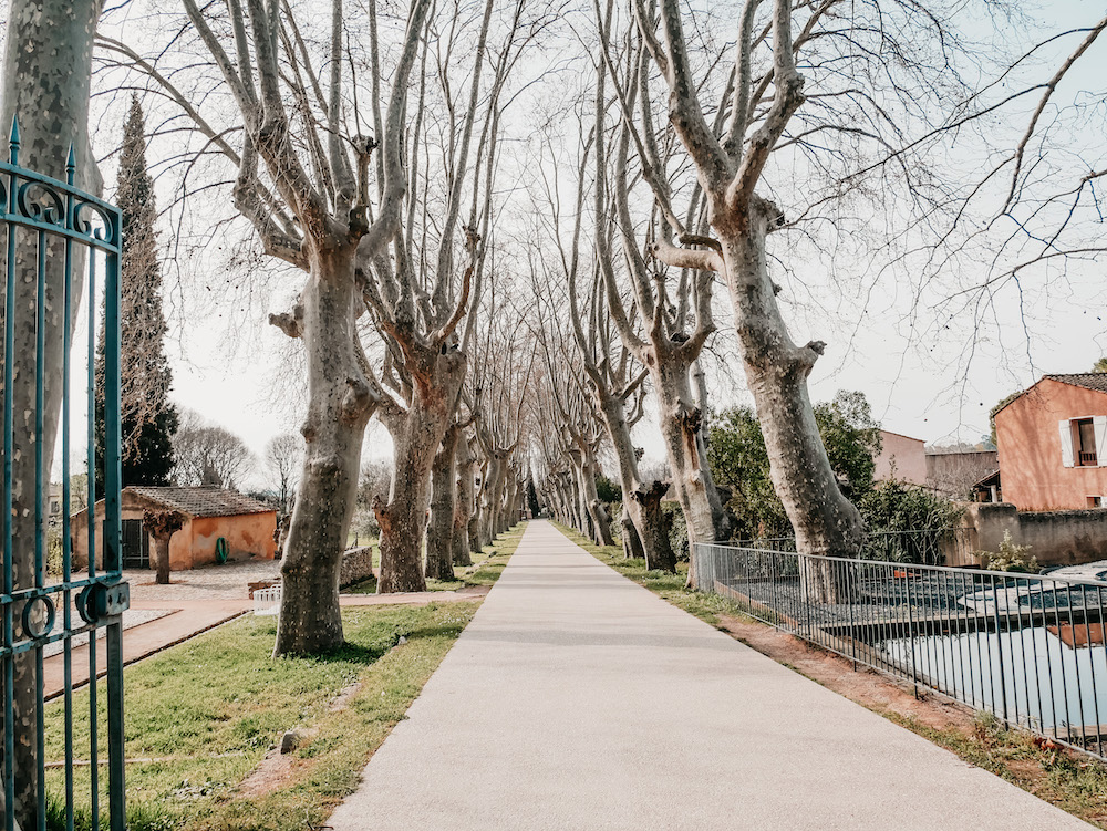 Jardin Remarquable De Baudouvin